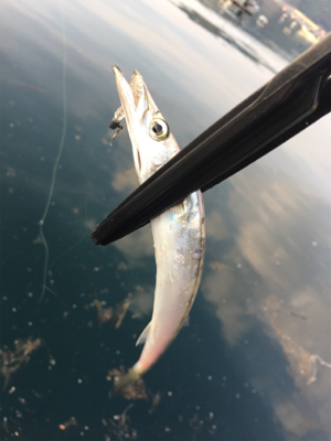 西日本豪雨災害後