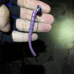 淀川ブリームゲーム エアーノット地獄