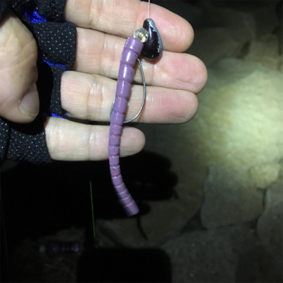 淀川ブリームゲーム エアーノット地獄