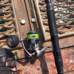 懲りずにショアジギング