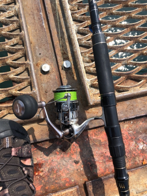 懲りずにショアジギング