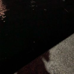 ナイトアジング