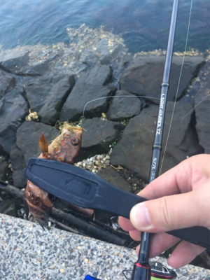 オールリリース