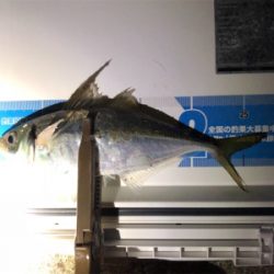 タチウオ狙いで8目釣り