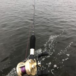 キター！って思ったけど