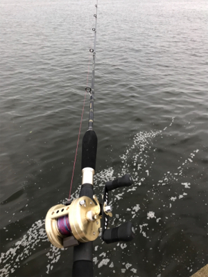 キター！って思ったけど