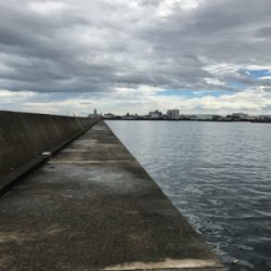 台風後入れ食いだ！