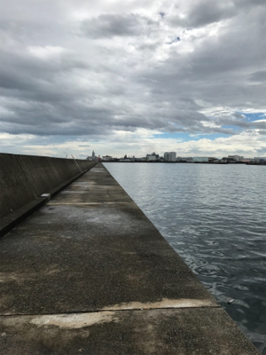 台風後入れ食いだ！