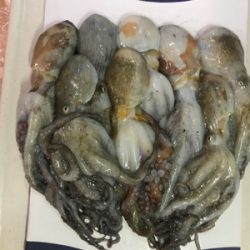 今日は、まぁまぁ！