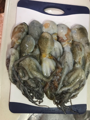 今日は、まぁまぁ！