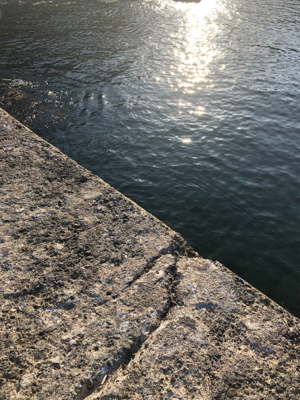 青物狙いでしたが…