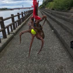 台風後期待して