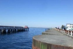 色んな魚種が釣れました❗