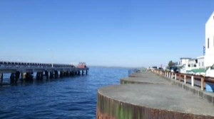 色んな魚種が釣れました❗