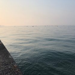 播磨オクトパッシング