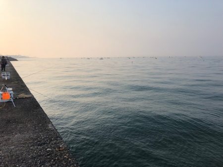 播磨オクトパッシング