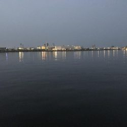 エイの大群！part2