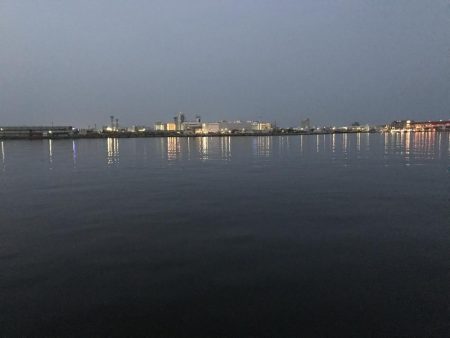 エイの大群！part2