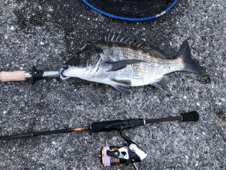 安定の夕マヅメ勝負