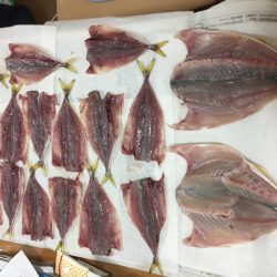 猛暑の中(^^;;  飲ませ釣り‼️