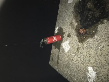 空き缶釣れた後のナイスフィッシュ