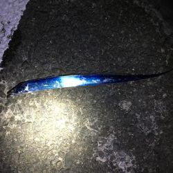 またまた仕事終わりに