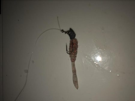 姫路豆アジング