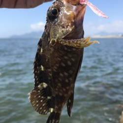 穴釣りデーゲーム