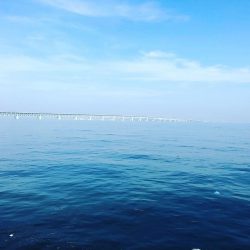 ライトタックル落とし込み