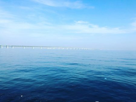 ライトタックル落とし込み