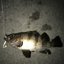 ヤオッチごめんね!