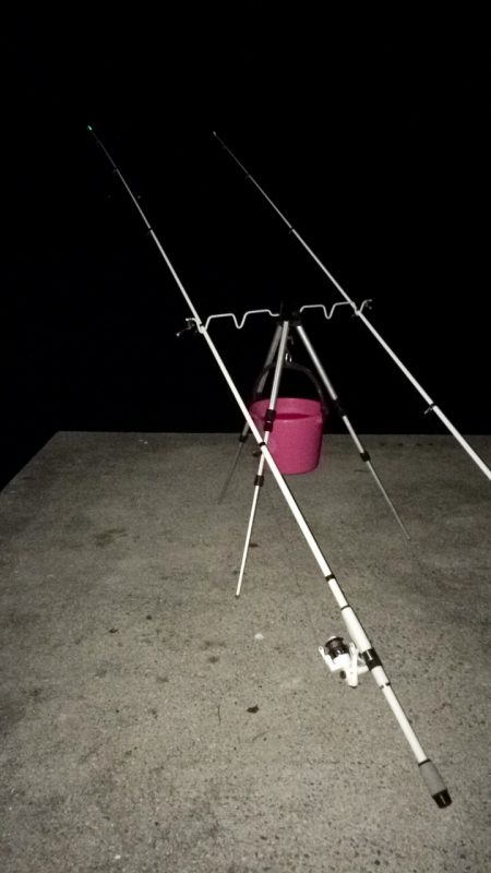 アナゴ釣りと夜光虫