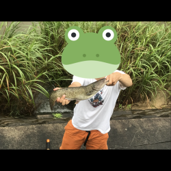 大雨、半端ないって