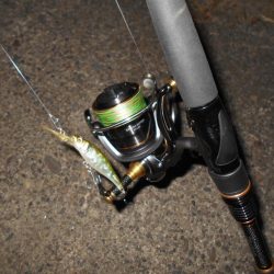 渋い時はVJ-16の出番？。