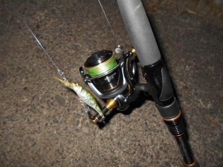 渋い時はVJ-16の出番？。