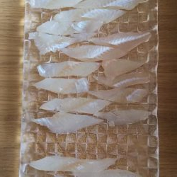 ファミリーキッシング