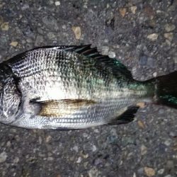 へち釣り講座を受けながら