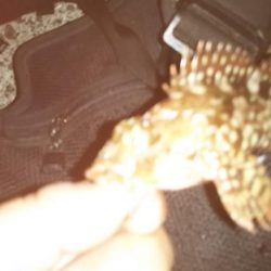 そこそこサイズのアジ狙い