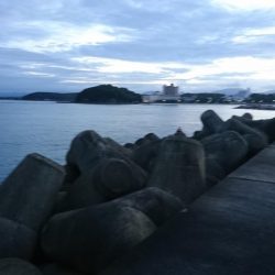 白浜温泉シーモア宿泊