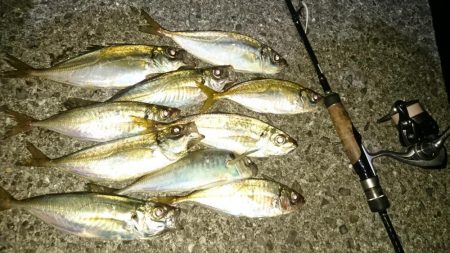 久しぶりアジング～