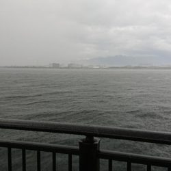 台風通過後に様子見