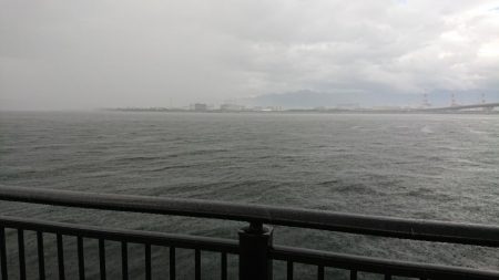 台風通過後に様子見
