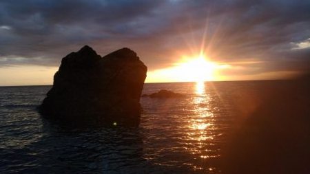 アコウ狙いでしたが雑魚ばかり