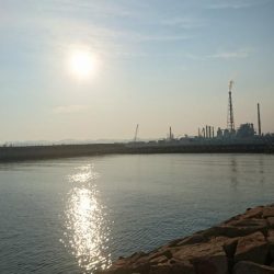 猛暑・海の日・チヌ