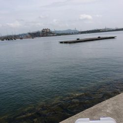 やっと来た？キス釣り