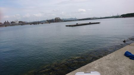 やっと来た？キス釣り