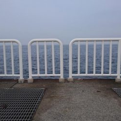 アジとサバのみ