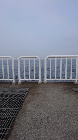 アジとサバのみ