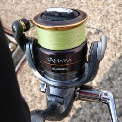 アジング&タコ情報