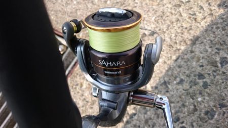 アジング&タコ情報